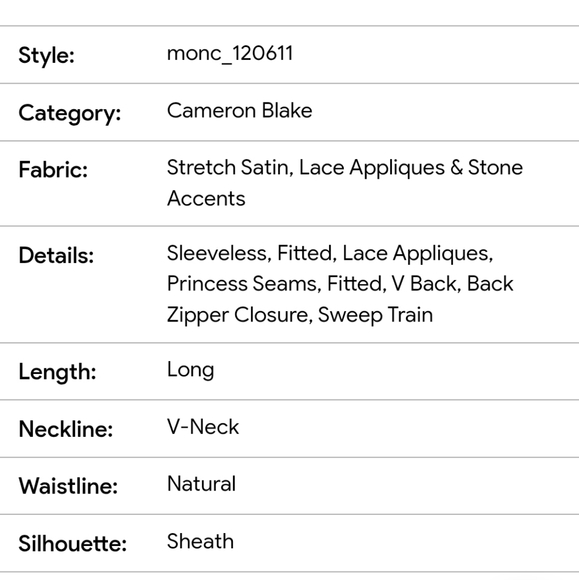 Cameron Blake Lace Appliqued V-Neck Sheath Dress 10 Champagne - Picture 13 of 14